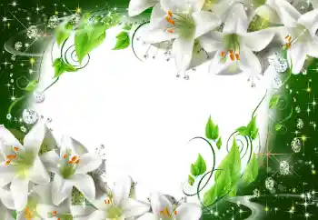 Foto-effetti della categoria Cornici da donna № 47175