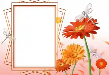 Foto-effetti della categoria Cornici da donna № 47199