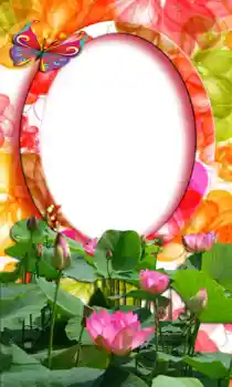 Foto-effetti della categoria Cornici da donna № 47253