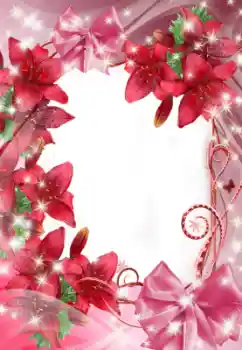 Foto-effetti della categoria Cornici da donna № 47321