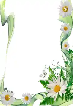 Foto-effetti della categoria Cornici da donna № 49370