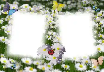 Foto-effetti della categoria Cornici da donna № 49398