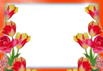 Foto-effetti della categoria Cornici da donna № 49414