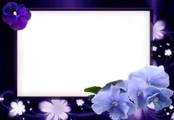 Foto-effetti della categoria Cornici da donna № 49423