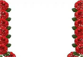 Foto-effetti della categoria Cornici da donna № 49424