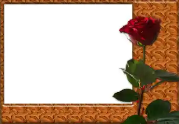 Foto-effetti della categoria Cornici da donna № 49427