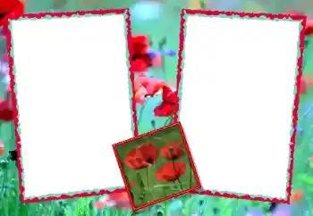 Foto-effetti della categoria Cornici da donna № 49428