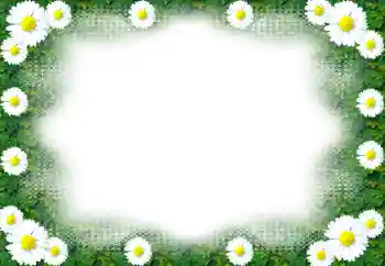 Foto-effetti della categoria Cornici da donna № 49443