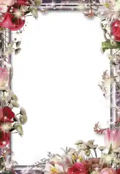 Foto-effetti della categoria Cornici da donna № 49550