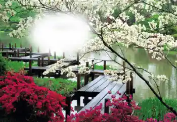 Foto-effetti della categoria Cornici da donna № 50653