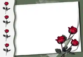 Foto-effetti della categoria Cornici da donna № 50854