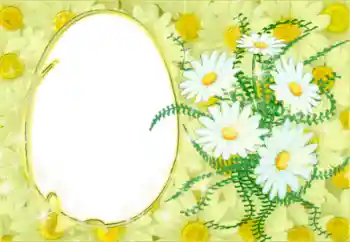 Foto-effetti della categoria Cornici da donna № 50878