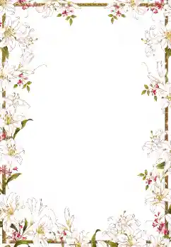 Foto-effetti della categoria Cornici da donna № 50918