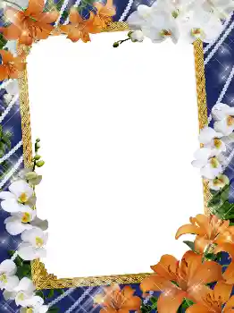 Foto-effetti della categoria Cornici da donna № 5141 Foto-effetti della categoria Cornici da donna № 5141