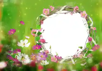 Foto-effetti della categoria Cornici da donna № 52077