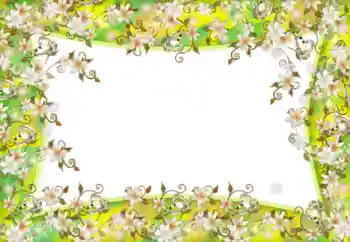 Foto-effetti della categoria Cornici da donna № 52181