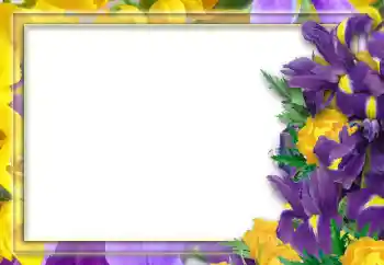 Foto-effetti della categoria Cornici da donna № 52253