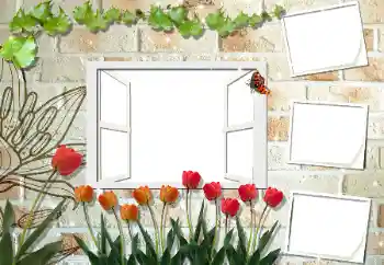 Foto-effetti della categoria Cornici da donna № 53297