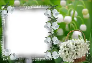 Foto-effetti della categoria Cornici da donna № 53368