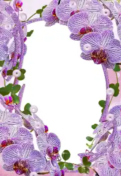 Foto-effetti della categoria Cornici da donna № 5465 Foto-effetti della categoria Cornici da donna № 5465