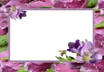 Foto-effetti della categoria Cornici da donna № 5506 Foto-effetti della categoria Cornici da donna № 5506