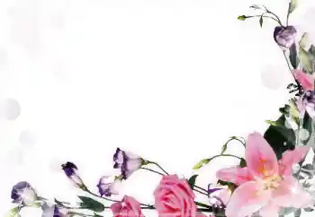 Foto-effetti della categoria Cornici da donna № 55396