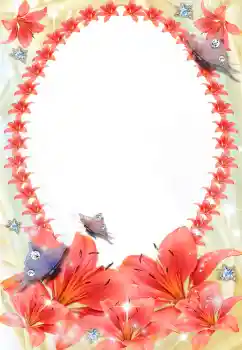 Foto-effetti della categoria Cornici da donna № 5539 Foto-effetti della categoria Cornici da donna № 5539