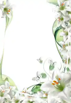 Foto-effetti della categoria Cornici da donna № 5542 Foto-effetti della categoria Cornici da donna № 5542