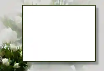 Foto-effetti della categoria Cornici da donna № 55444