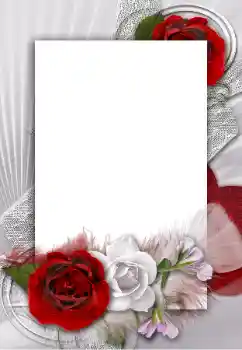 Foto-effetti della categoria Cornici da donna № 55454