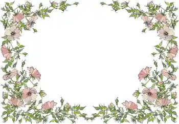 Foto-effetti della categoria Cornici da donna № 55495