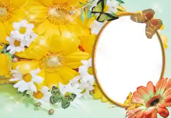 Foto-effetti della categoria Cornici da donna № 55529