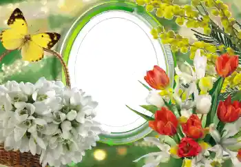 Foto-effetti della categoria Cornici da donna № 56529