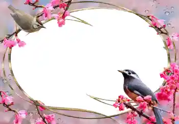 Foto-effetti della categoria Cornici da donna № 56627