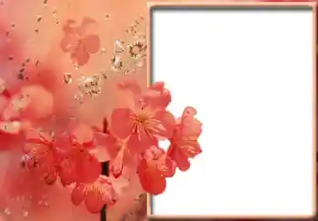 Foto-effetti della categoria Cornici da donna № 57711