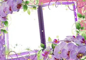 Foto-effetti della categoria Cornici da donna № 58759