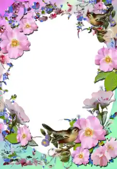 Foto-effetti della categoria Cornici da donna № 58779