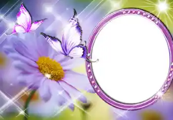 Foto-effetti della categoria Cornici da donna № 60196