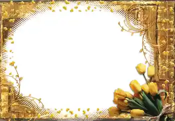 Foto-effetti della categoria Cornici da donna № 60398