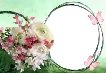 Foto-effetti della categoria Cornici da donna № 60415