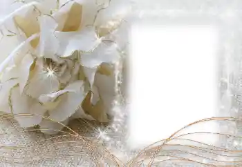 Foto-effetti della categoria Cornici da donna № 60472