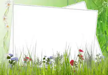 Foto-effetti della categoria Cornici da donna № 62627