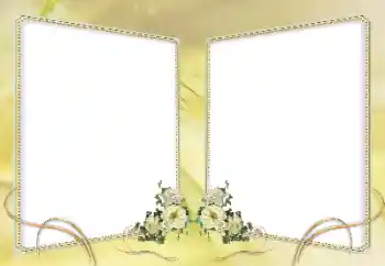 Foto-effetti della categoria Cornici da donna № 62926