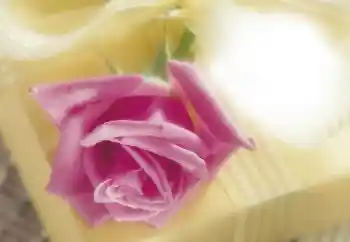 Foto-effetti della categoria Cornici da donna № 64263