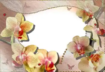 Foto-effetti della categoria Cornici da donna № 64386