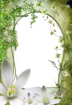 Foto-effetti della categoria Cornici da donna № 64492