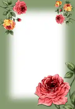 Foto-effetti della categoria Cornici da donna № 6509