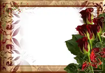 Foto-effetti della categoria Cornici da donna № 65577