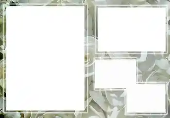 Foto-effetti della categoria Cornici da donna № 65658