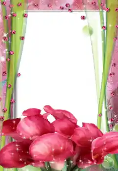 Foto-effetti della categoria Cornici da donna № 67316